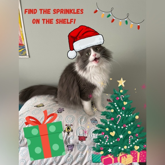 💚❤️Happy Holidays to all my wonderful supports and Posh Pals! See ya in 2026!💚❤️ - Picture 13 of 13